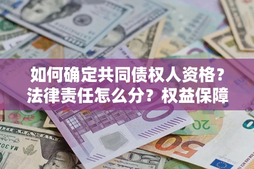 北京如何确定共同债权人资格？法律责任怎么分？权益保障技巧揭秘！
