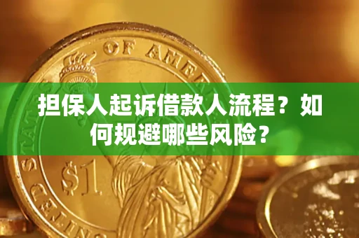 北京担保人起诉借款人流程？如何规避哪些风险？